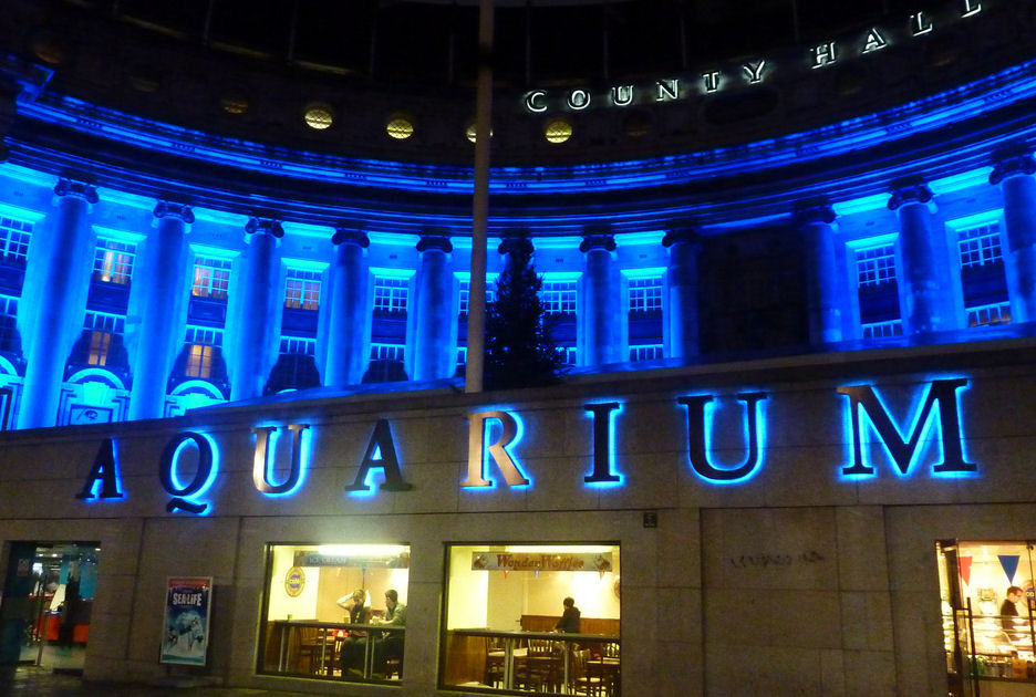 Sea Life, London Aquarium: All year