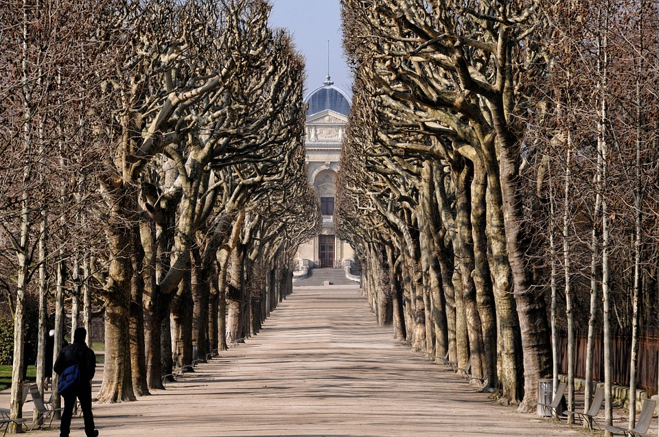 Jardin des Plantes, Paris: All Year