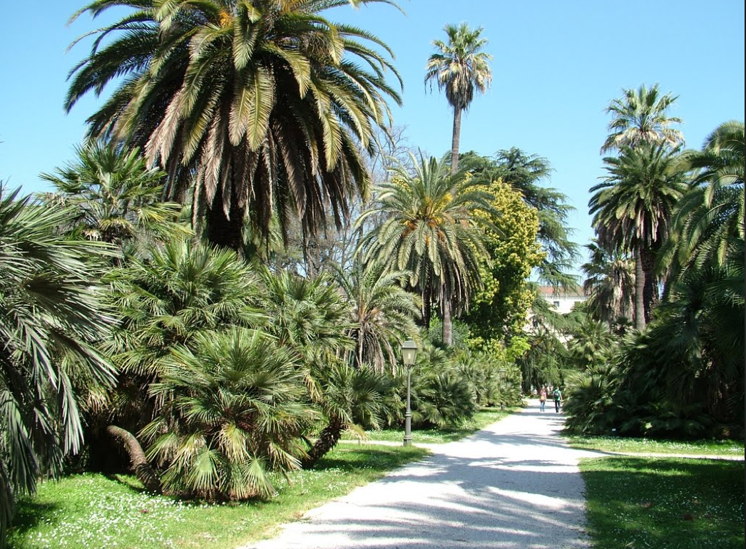 Botanical Garden Rome All Year