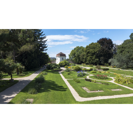Botanical Garden Of The University Of Vienna