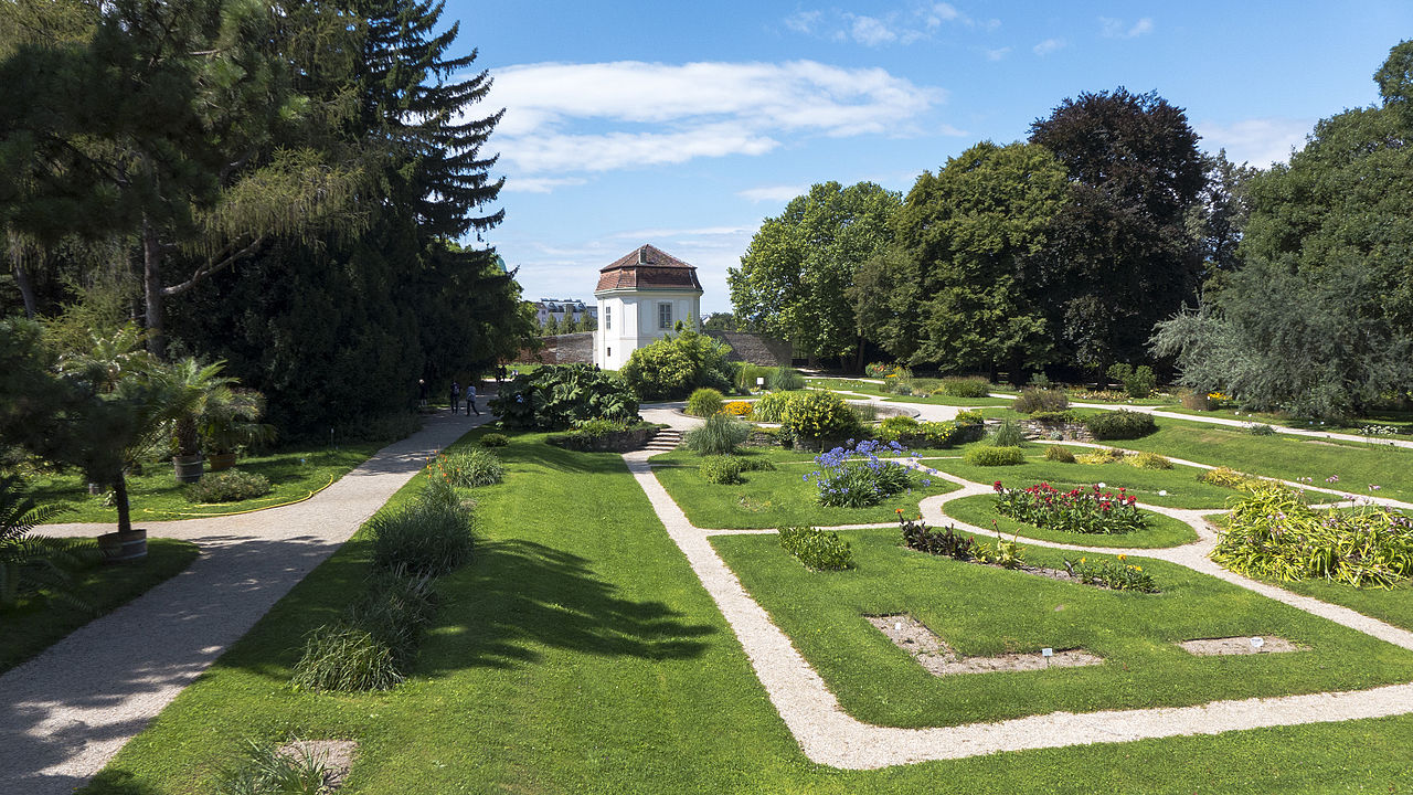 Botanical Garden Of The University Of Vienna