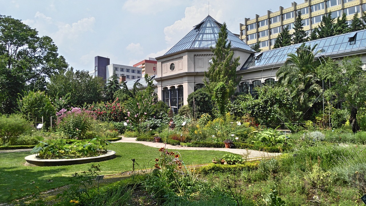 ботанический-сад