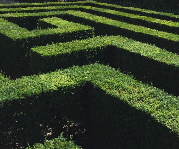 Maze & Labyrinth Schonbrunn, Vienna: All Year