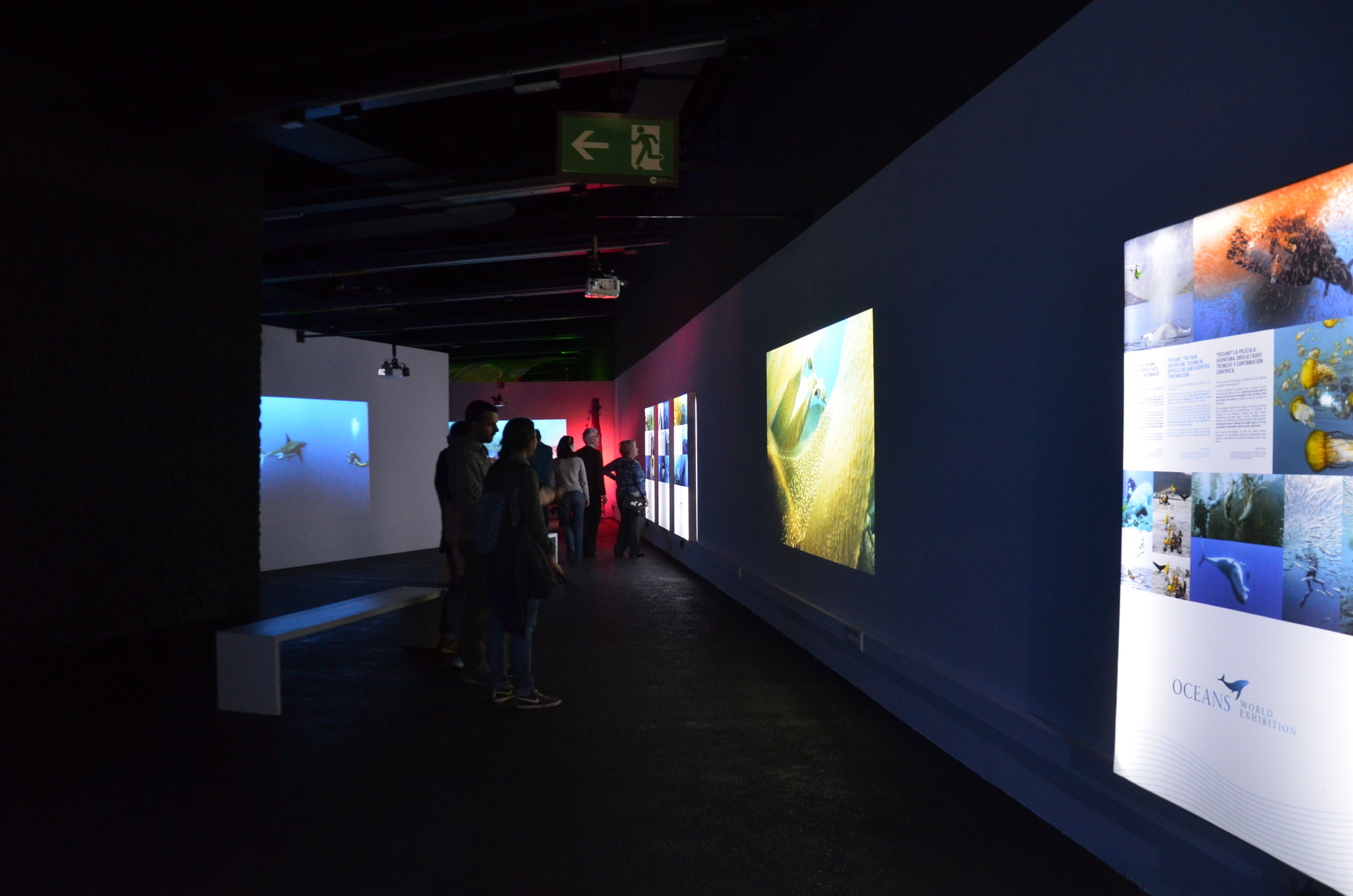 Oceans, the Last Wild Territory, Exhibition, Museu Blau, Barcelona: 3 November 2017-14 September 2018.