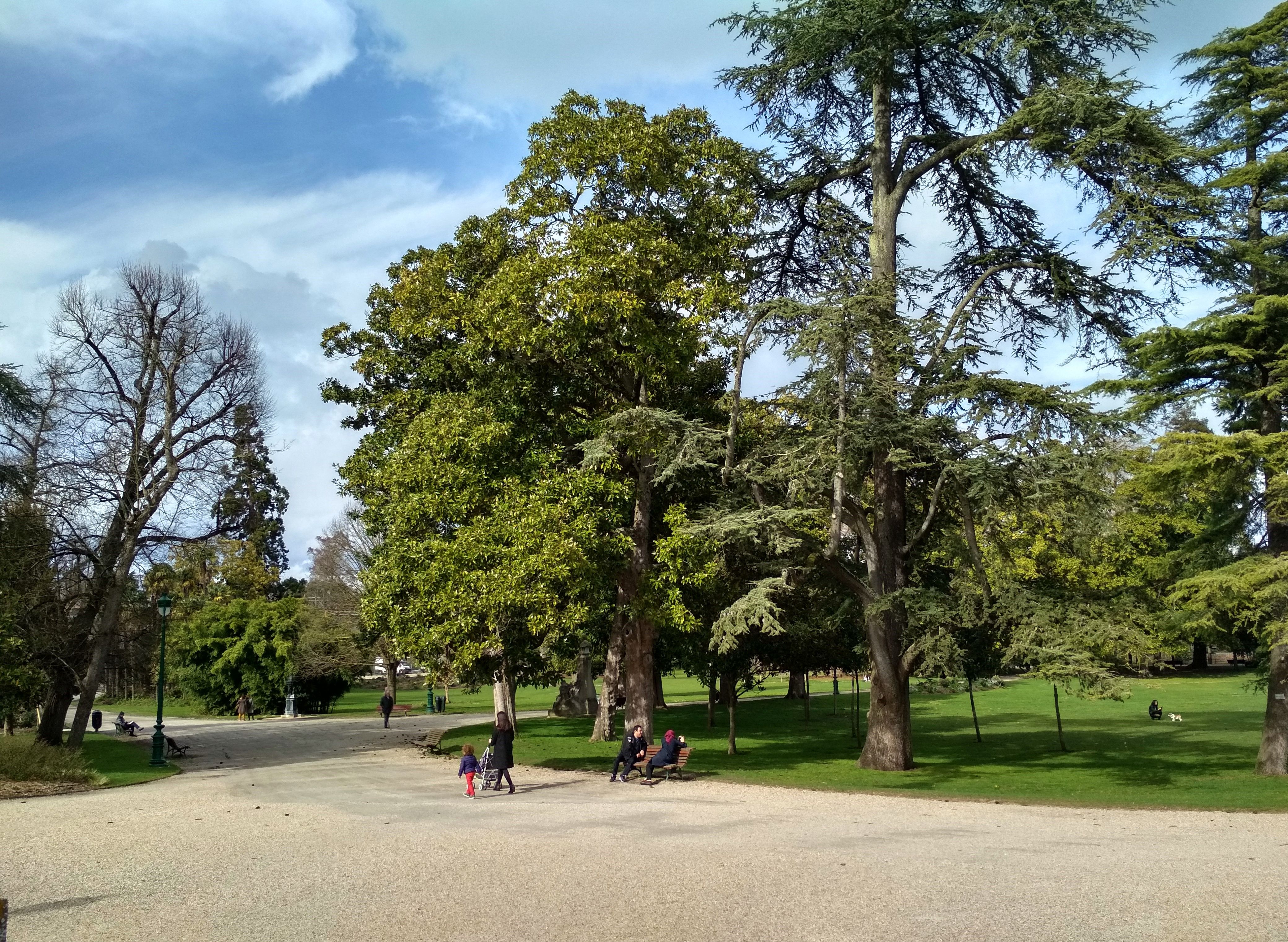 Jardin public, Bordeaux: All year