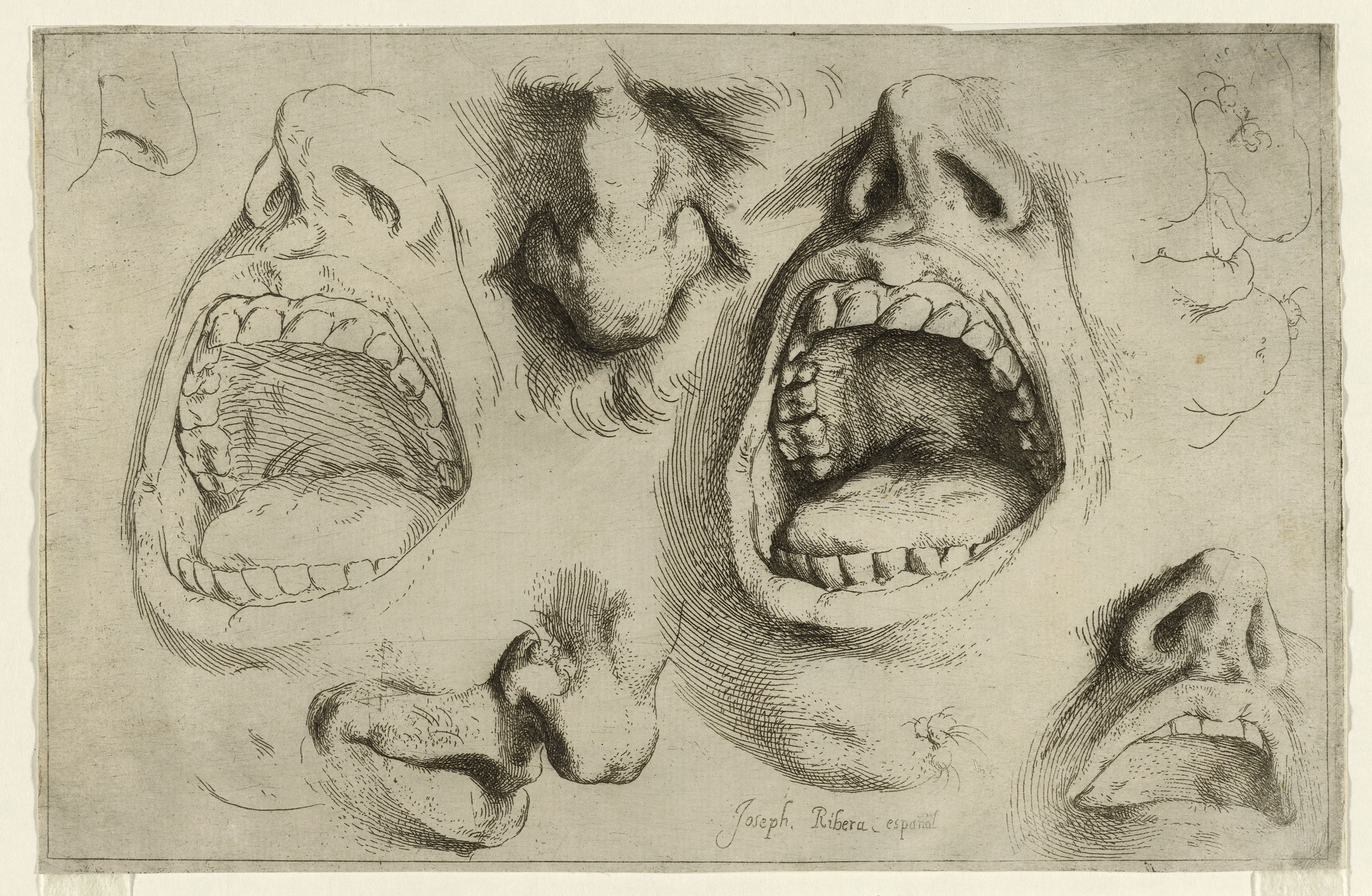 Jusepe de Ribera, Studies of the Nose and Mouth, c.1622, Etching, 14 x 21.6 cm, The British Museum, London. ©The Trustees of the British Museum. All rights reserved.