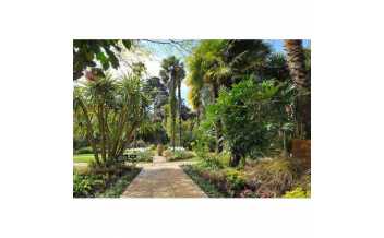 Abbotsbury Subtropical Gardens, Weymouth