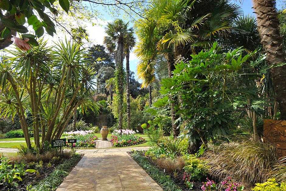 Abbotsbury Subtropical Gardens, Weymouth, Dorset