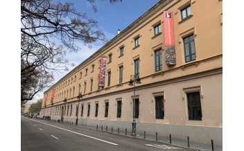 Museo de Prehistoria de Valencia