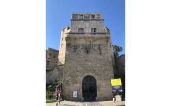 La Tour de la Babote, Montpellier